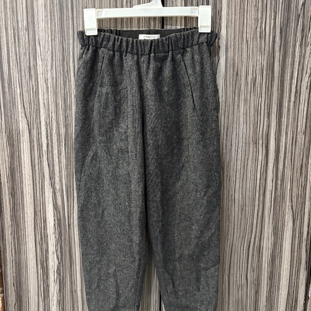 BNWOT babaton wool dress pants